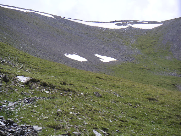 Biotope de Parnassius delphius satanas. Vers 3600 m, à l'ouest de Dolon Pass, Kirghizstan, 15 juillet 2006. Photo : F. Michel