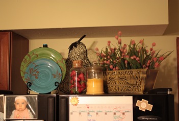 IMG_3986 IMG_3986