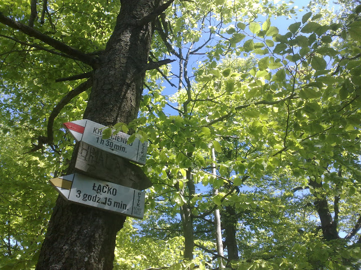 20100605132.jpg