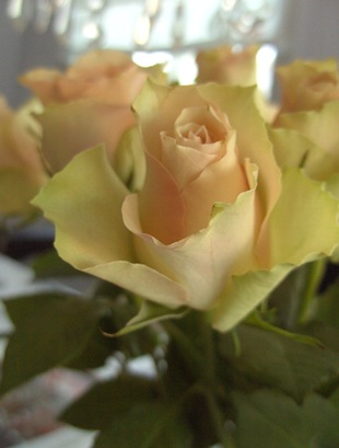 BILD0351