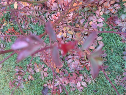 BILD0026