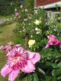 BILD0726