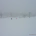 P1010890.JPG