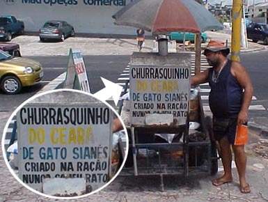 [churraco de gato[4].jpg]