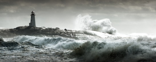 [iStock_000004630586XSmall[5].jpg]