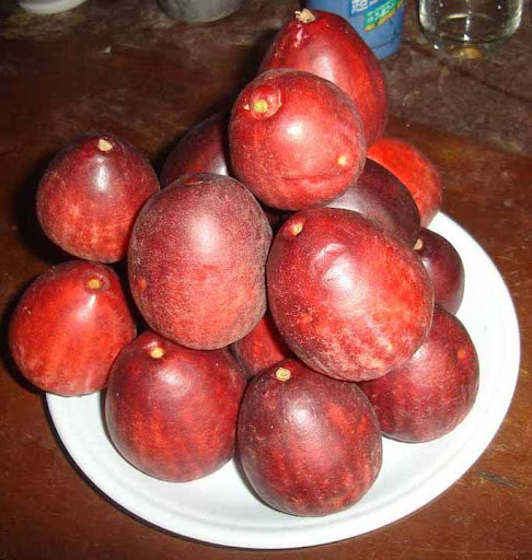 Hồi ức về trái cây xưa :D - 11