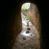 PICT7927.JPG