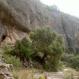 PICT7933.JPG