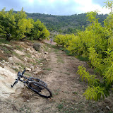 25072009013.jpg