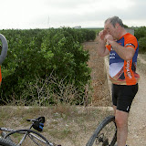 PICT8096.JPG
