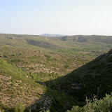 PICT8204.JPG