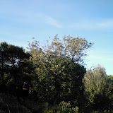 IMG_0009.JPG