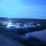 PICT8326.JPG