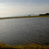 PICT8325.JPG