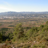 PICT8318.JPG
