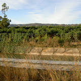 PICT8312.JPG