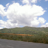 PICT8345.JPG