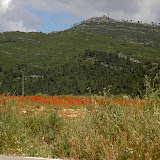PICT8346.JPG