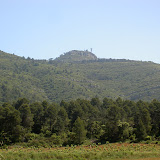 PICT8342.JPG