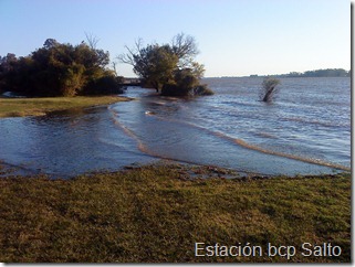 Viento en la costa_bcp (3)