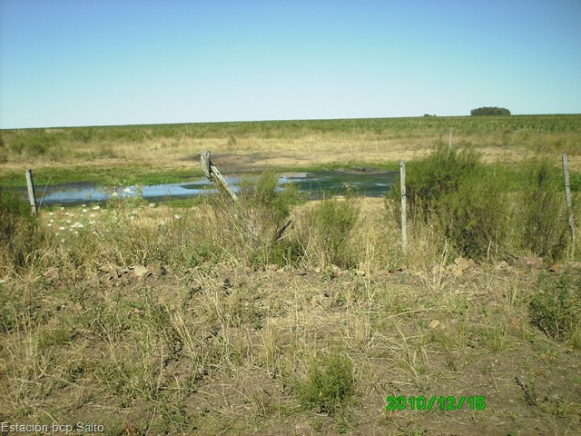 [PICT009710.jpg]