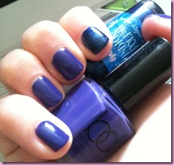 notd indigo polish