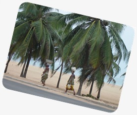 paysage1