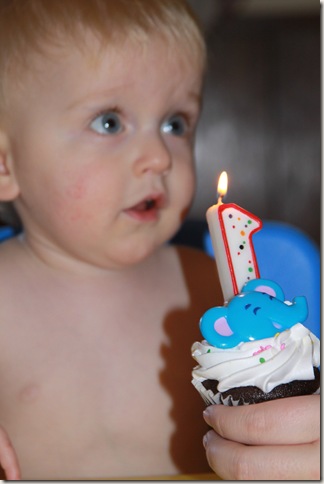 IMG_9758 IMG_9758