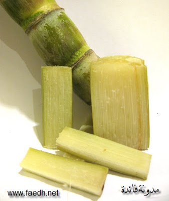 Sugarcane-2_www.faedh.net.jpg