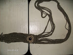 Blog da Eni Slideshow