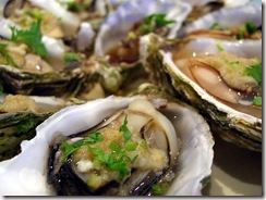 oysters oysters