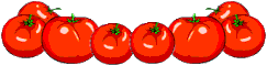 tomate01