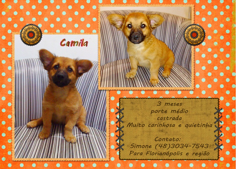 [Camila[13].jpg]