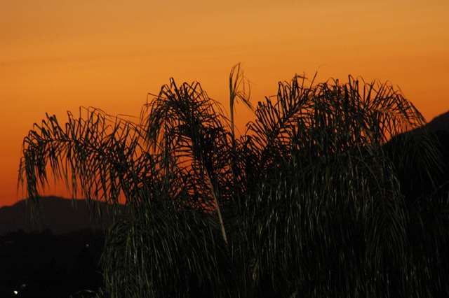 [DSC_63813.jpg]