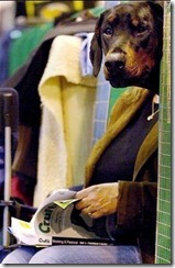image001