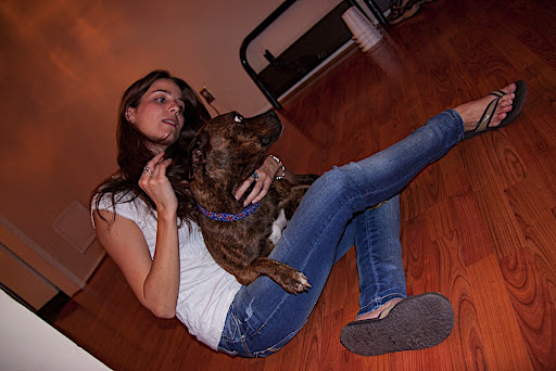 Just a giant lap dog