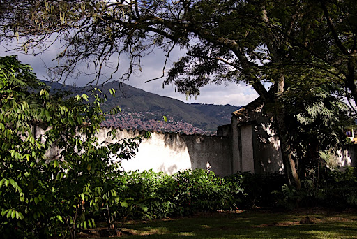 The city of Medellin outside the walls of the botanical gardens
