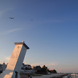 P5072231.JPG