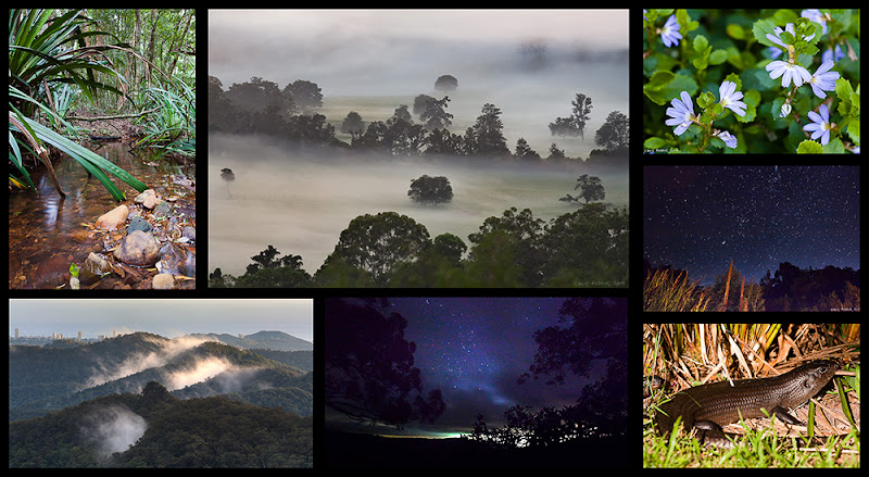 IMAGE: http://lh6.ggpht.com/_6vdPqp2Fxq4/S1EKy885JhI/AAAAAAAAB0k/5NL79wc94O4/s800/20100108-15-Summary-Small.jpg