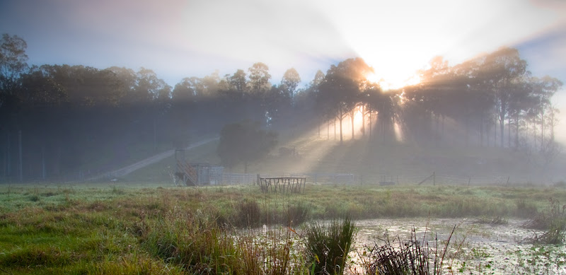 IMAGE: http://lh6.ggpht.com/_6vdPqp2Fxq4/SjCb-7km7GI/AAAAAAAAAQI/3bMr_MuOh9Y/s800/MistMorningNuminbahValley_20090606-002v4.jpg