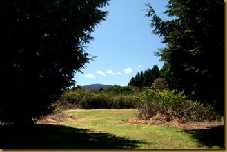Tent site options. Pretty funky if you ask me!