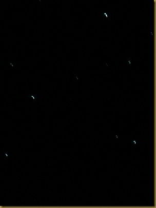 Glowworms. Try to contain your excitement at the quality of this picture