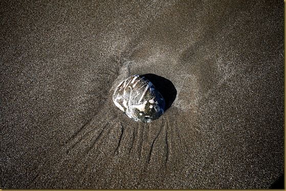 Rock in the sand