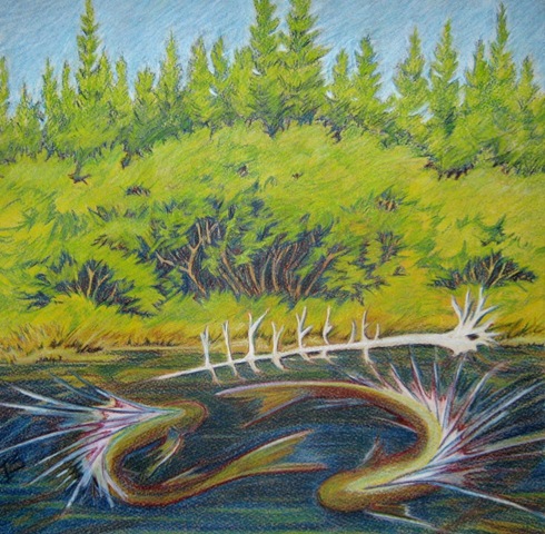 [09102901rivers_edge[3].jpg]
