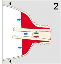 tube Dentifrice coupe