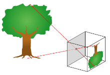 Pinhole-camera