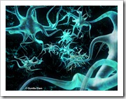 neuron