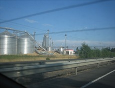 IMG_2525 IMG_2525
