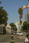 903-0304_IMG.JPG
