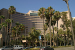 903-0307_IMG.JPG